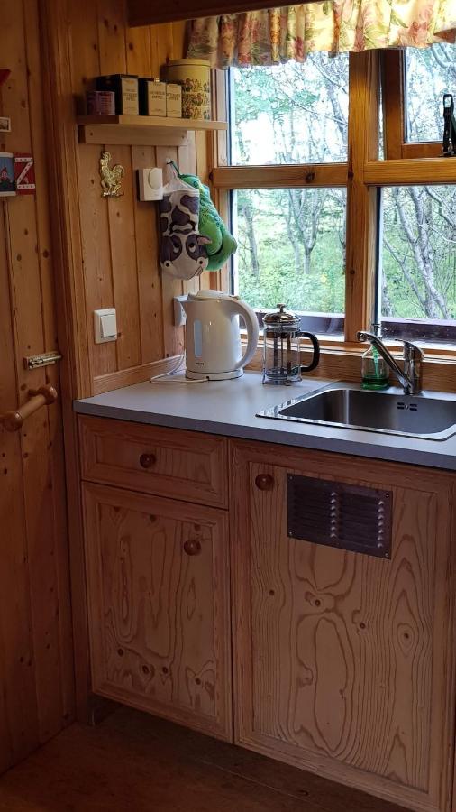 סלפוס Cozy Cabin In The Woods מראה חיצוני תמונה