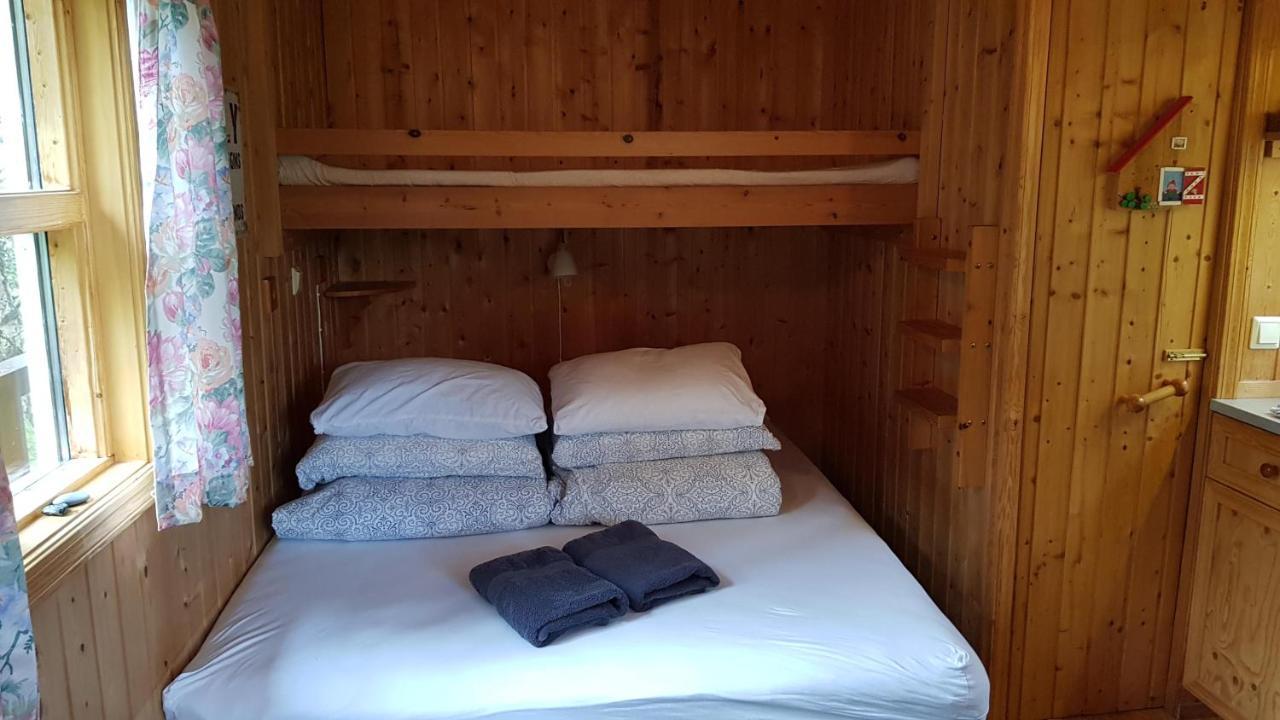 סלפוס Cozy Cabin In The Woods מראה חיצוני תמונה